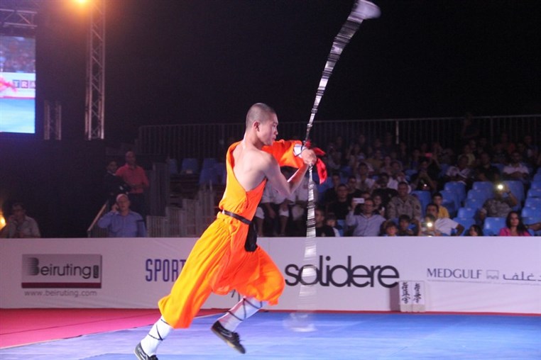 Martial Arts Festival